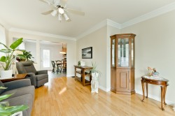 Salon - 