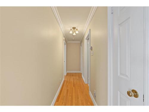 6 Horizon Place, Conception Bay South, NL 