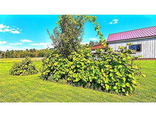482 Ch Tilley Rd, Tilley Road, NB 