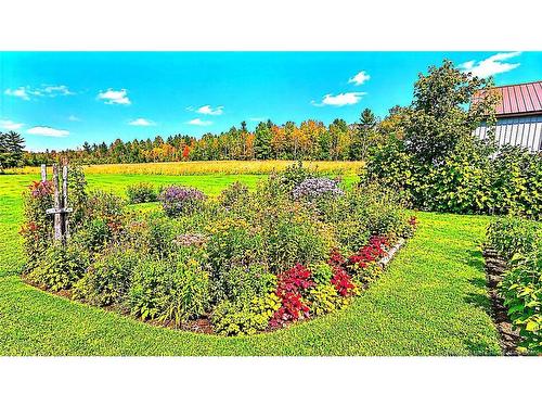 482 Ch Tilley Rd, Tilley Road, NB 