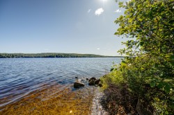 Bord de l'eau - 