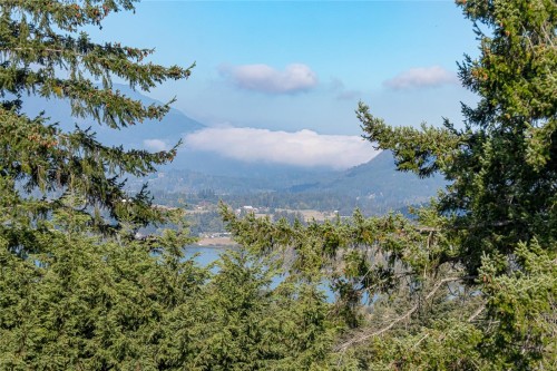 6033 Chippewa Rd, Duncan, BC 
