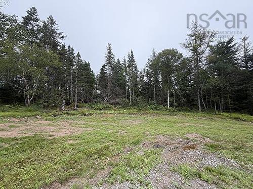9220 Pepperell Street, St. Peter'S, NS 
