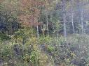 Lot 4 Ohio East Road, St. Joseph, NS 