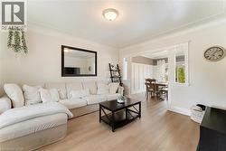 Living area featuring crown molding, light wood-finish flooring, and a cased opening to a dining area with board and batten wall treatment - 