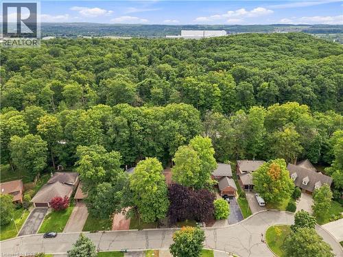 24 Primrose Path, Kitchener, ON 