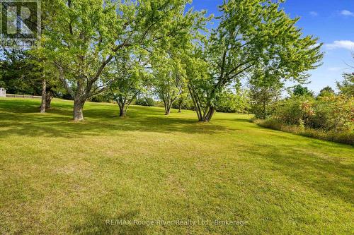 217 Godolphin Road, Trent Hills (Warkworth), ON 