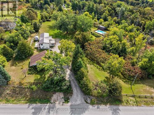 217 Godolphin Road, Trent Hills (Warkworth), ON 
