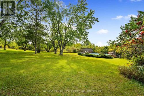217 Godolphin Road, Trent Hills (Warkworth), ON 