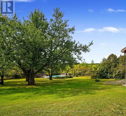 217 Godolphin Road, Trent Hills (Warkworth), ON 