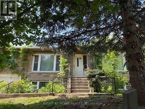 36 Forest Wood, Toronto, ON 