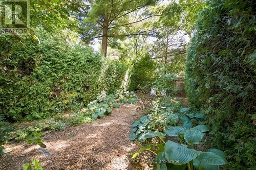 245 St Johns Road, Toronto, ON 