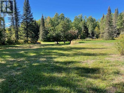 1007 Boundary Drive, Neebing (Scoble), ON 