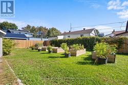 So much room for your garden - 