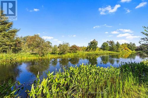 75 Green Briar Drive, Collingwood, ON 