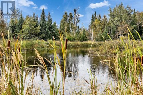 397061 5Th Line, Melancthon, ON 