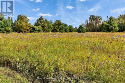 397061 5Th Line, Melancthon, ON 