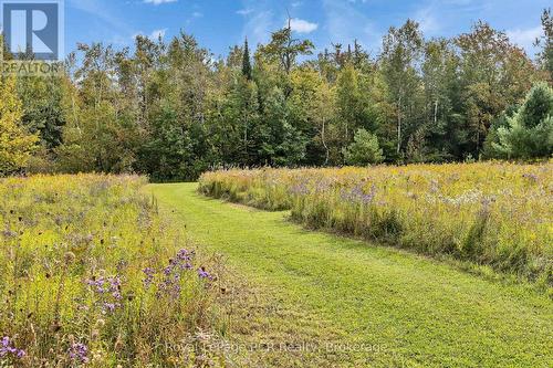 397061 5Th Line, Melancthon, ON 