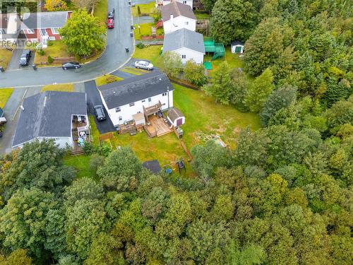 20 Harnum Crescent, Mount Pearl, NL 