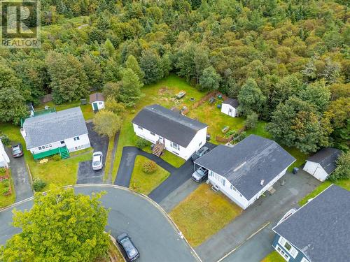 20 Harnum Crescent, Mount Pearl, NL 