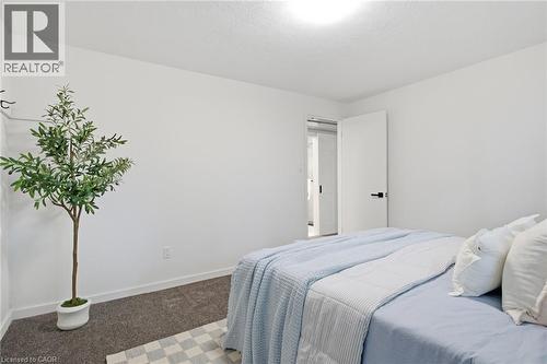 22 Ripley Crescent, Kitchener, ON 