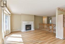 Living Room Fireplace - 