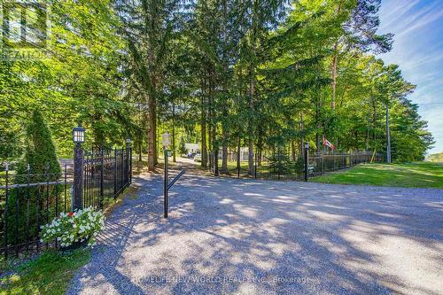 3659 Aurora Road, Whitchurch-Stouffville, ON 
