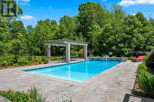 8 ft deep pool - 758335 Girl Guide Road, Georgian Bluffs, ON 