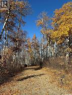 502 Bear Ridge ROAD  Barrier Lake, SK S0E 0B0