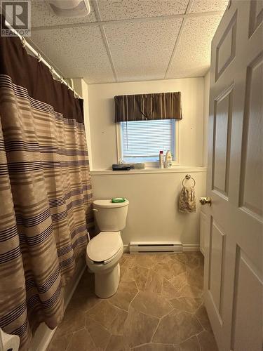 30 Snow Crescent, Grand Falls- Windsor, NL 