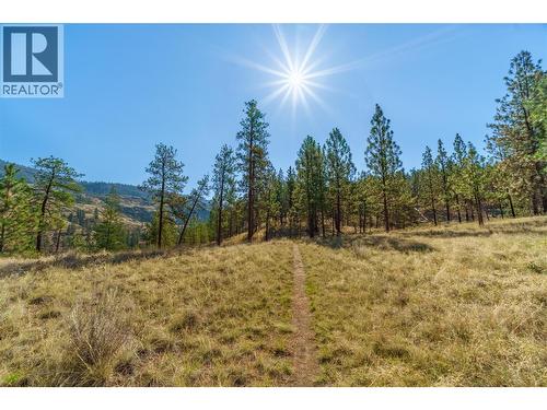 Prpsd Lt 1 47 Street, Okanagan Falls, BC 