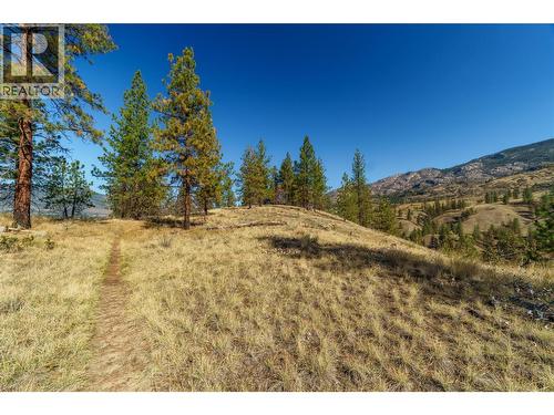 Prpsd Lt 1 47 Street, Okanagan Falls, BC 