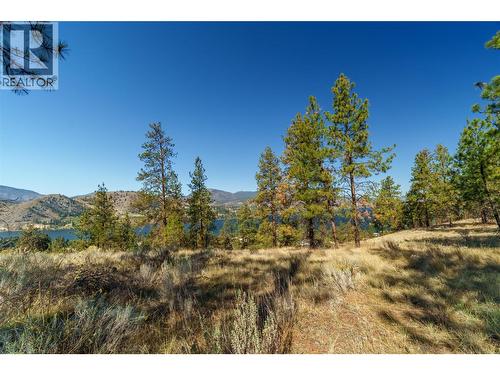 Prpsd Lt 1 47 Street, Okanagan Falls, BC 