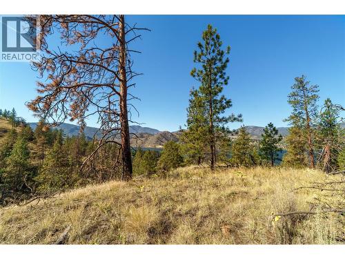 Prpsd Lt 1 47 Street, Okanagan Falls, BC 