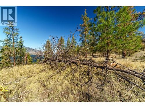 Prpsd Lt 1 47 Street, Okanagan Falls, BC 