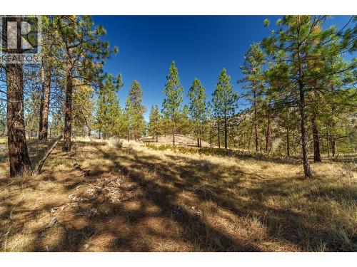 Prpsd Lt 1 47 Street, Okanagan Falls, BC 