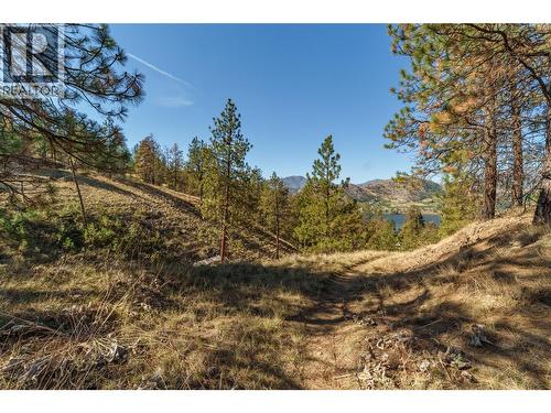 Prpsd Lt 1 47 Street, Okanagan Falls, BC 