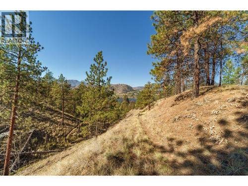 Prpsd Lt 1 47 Street, Okanagan Falls, BC 