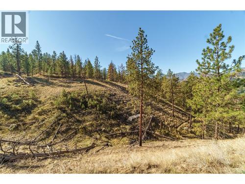 Prpsd Lt 1 47 Street, Okanagan Falls, BC 