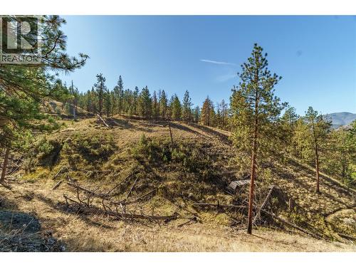 Prpsd Lt 1 47 Street, Okanagan Falls, BC 