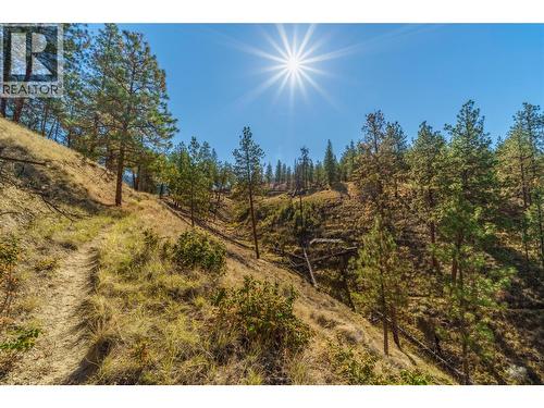 Prpsd Lt 1 47 Street, Okanagan Falls, BC 