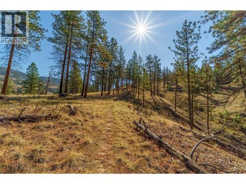 Prpsd Lt 1 47 Street, Okanagan Falls, BC 