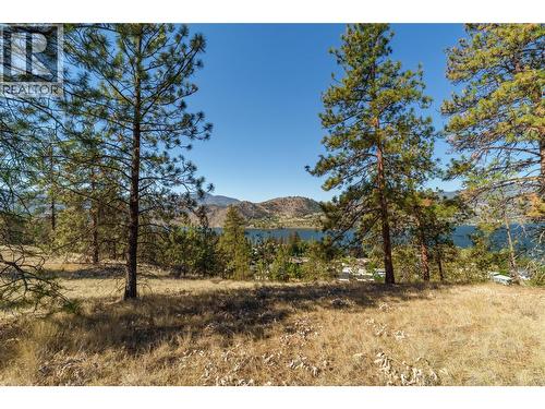Prpsd Lt 1 47 Street, Okanagan Falls, BC 