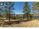 Prpsd Lt 1 47 Street, Okanagan Falls, BC 