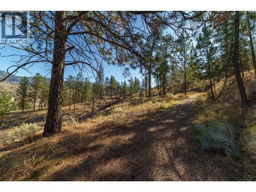 Prpsd Lt 1 47 Street, Okanagan Falls, BC 