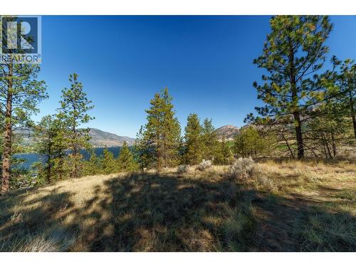 Prpsd Lt 1 47 Street, Okanagan Falls, BC 