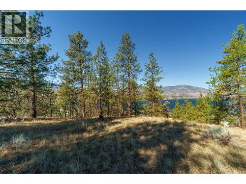 Prpsd Lt 1 47 Street, Okanagan Falls, BC 