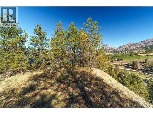 Prpsd Lt 1 47 Street, Okanagan Falls, BC 