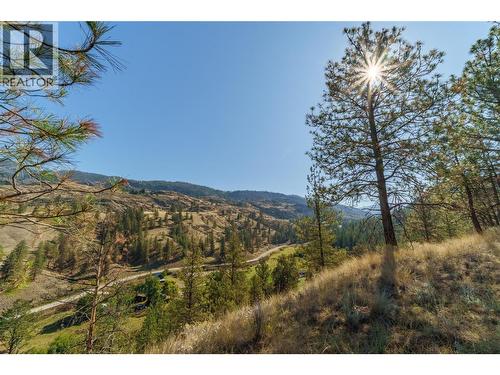 Prpsd Lt 1 47 Street, Okanagan Falls, BC 