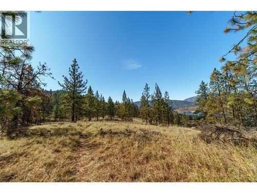 Prpsd Lt 1 47 Street, Okanagan Falls, BC 